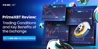 Maximize Your Gains with PrimeXBT Spot Trading Maximize Your Gains with PrimeXBT Spot Trading