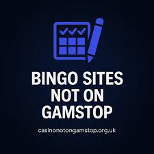 Discover the Best Online Bingo Sites Not on GamStop 150008033 Discover the Best Online Bingo Sites Not on GamStop 150008033